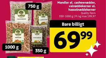 Mandler el. cashewnødder, valnøddekerner el. hasselnøddekerner