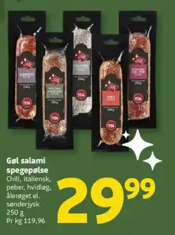 Løvbjerg Gøl salami spegepølse tilbud