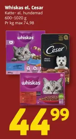 Løvbjerg Whiskas el. Cesar tilbud