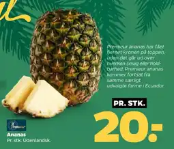 Netto Ananas tilbud