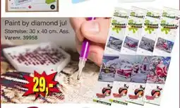 Harald Nyborg Paint by diamond jul tilbud