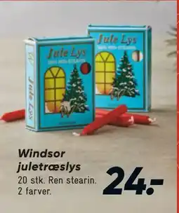 Bilka Windsor juletræslys tilbud