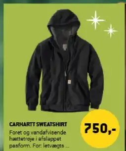 XL-BYG Carhartt sweatshirt tilbud