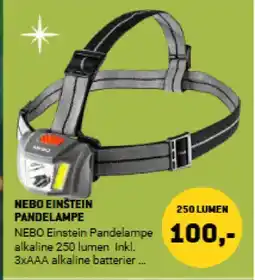 XL-BYG Nebo einstein pandelampe tilbud