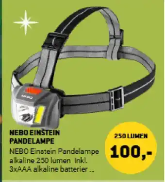XL-BYG Nebo einstein pandelampe tilbud