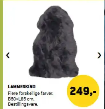 XL-BYG Lammeskind tilbud