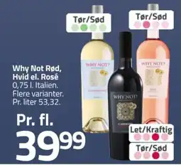 Fleggaard Why Not Rød, Hvid el. Rosé tilbud