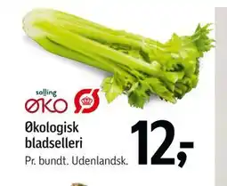 Føtex Økologisk bladselleri tilbud