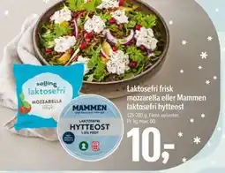 Føtex Laktosefri frisk mozzarella eller Mammen laktosefri hytteost tilbud