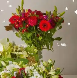 Føtex Håndbundet buket med 6 bundter blomster og grønt tilbud