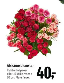 Føtex Afskårne blomster tilbud