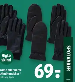 Coop 365 Dame eller herre skindhandsker tilbud