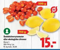 Lidl Daddelcherrytomater eller økologiske citroner tilbud