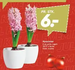 Bilka Hyacinter tilbud
