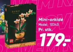Bilka Mini-orkidé tilbud