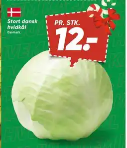 Bilka Stort dansk hvidkål tilbud