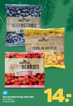Netto Harvest Best frugt eller bær tilbud