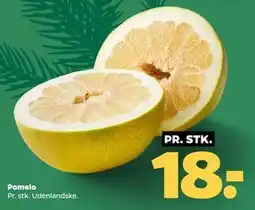 Netto Pomelo tilbud