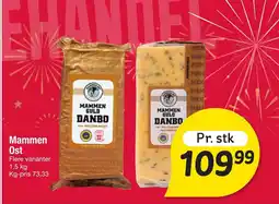 Fakta Tyskland Mammen Ost tilbud