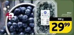 Løvbjerg Blåbær tilbud