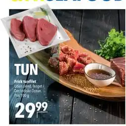 Citti Frisk tunfilet tilbud