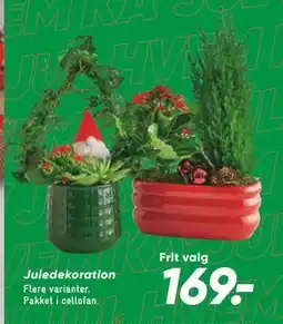 Bilka Juledekoration tilbud