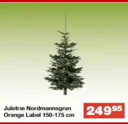 Bauhaus Juletræ Nordmannsgran Orange Label tilbud