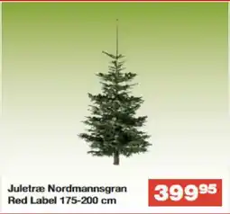 Bauhaus Juletræ Nordmannsgran Red Label tilbud