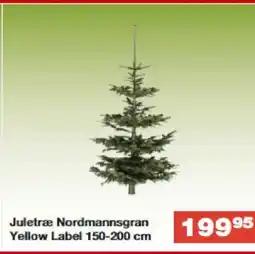 Bauhaus Juletræ Nordmannsgran Yellow Label tilbud