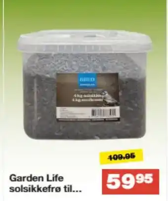 Garden Life solsikkefrø til...