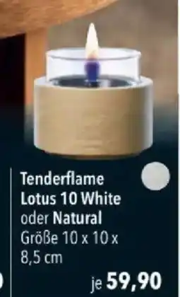 Citti Tenderflame Lotus 10 White oder Natural tilbud