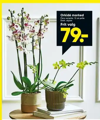 Bilka Orkidé marked tilbud