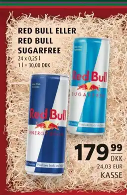 Scandinavian Park Red bull eller red bull sugarfree tilbud