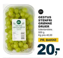 Let-Køb GESTUS STENFRI GRØNNE DRUER tilbud