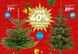 Bilka SPAR. 40% på Nordmannsgran juletræer tilbud