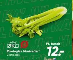 Bilka Økologisk bladselleri tilbud