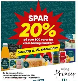 Bilka Spar 20% på over 500 varer fra vores Salling mærker tilbud