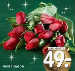 REMA 1000 Røde tulipaner tilbud