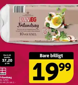 Løvbjerg Frilandsæg tilbud