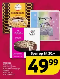 Løvbjerg Islagkage tilbud