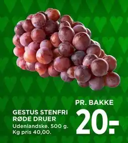 MENY GESTUS STENFRI RØDE DRUER tilbud