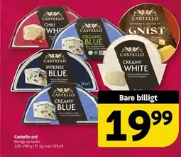 Løvbjerg Castello ost tilbud