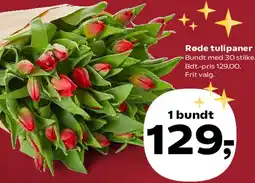 SuperBrugsen Røde tulipaner tilbud