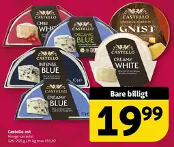 Løvbjerg Castello ost tilbud