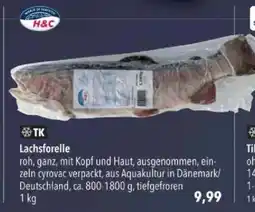 Citti TK Lachsforelle tilbud