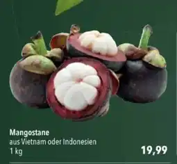 Citti Mangostane tilbud