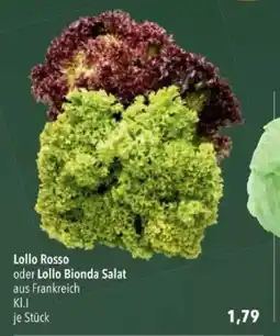 Citti Lollo Rosso oder Lollo Bionda Salat tilbud