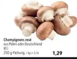 Citti Champignons rosé tilbud