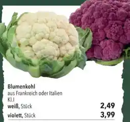 Citti Blumenkohl tilbud