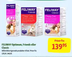Maxi Zoo FELIWAY Optimum, Friends eller Classic tilbud